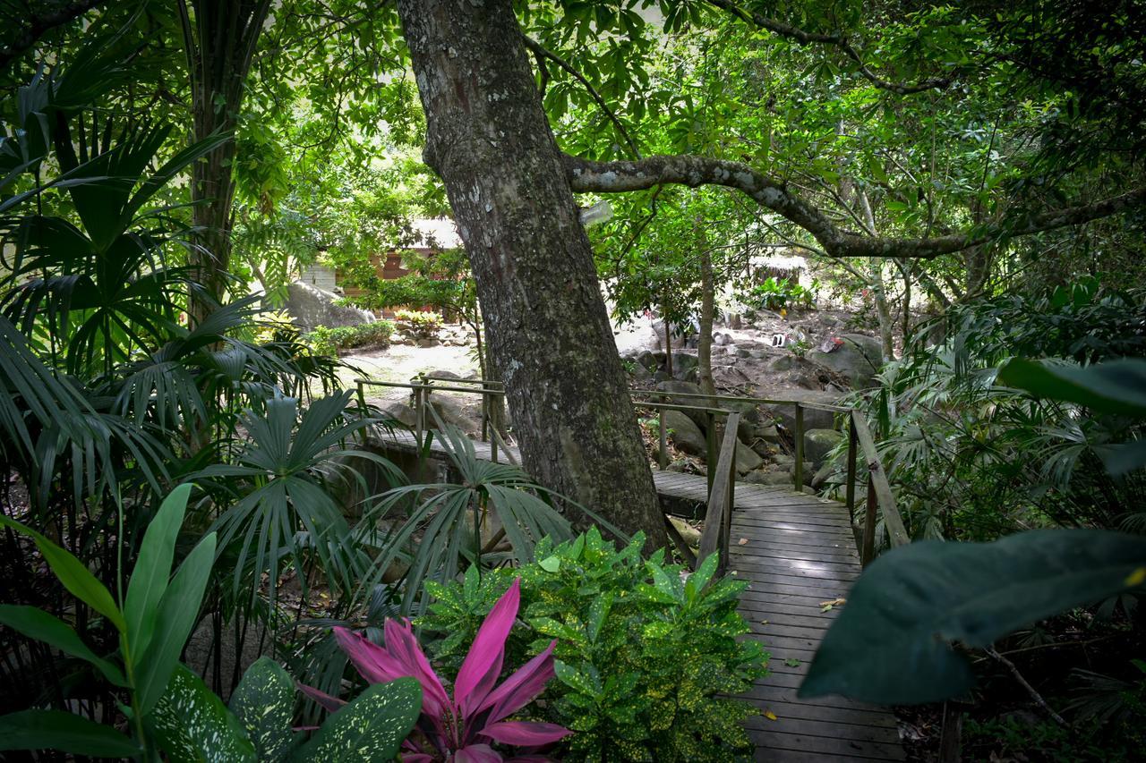 Ecohabs Bosques Del Tayrona Hotell Calabazo  Eksteriør bilde
