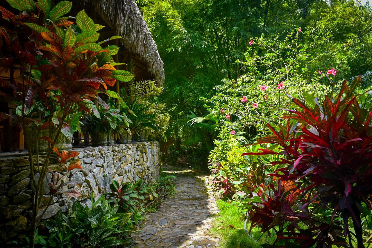 Ecohabs Bosques Del Tayrona Hotell Calabazo  Eksteriør bilde